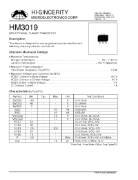 Datasheet  HM3019