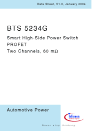 Datasheet  BTS5234G