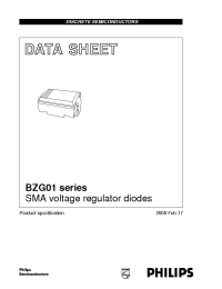 Datasheet  BZG01